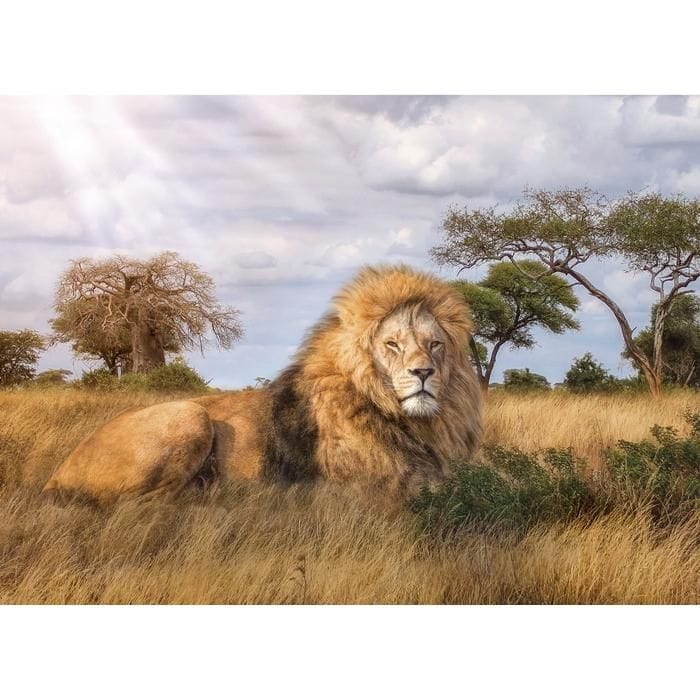 Puzzle 1000 The king